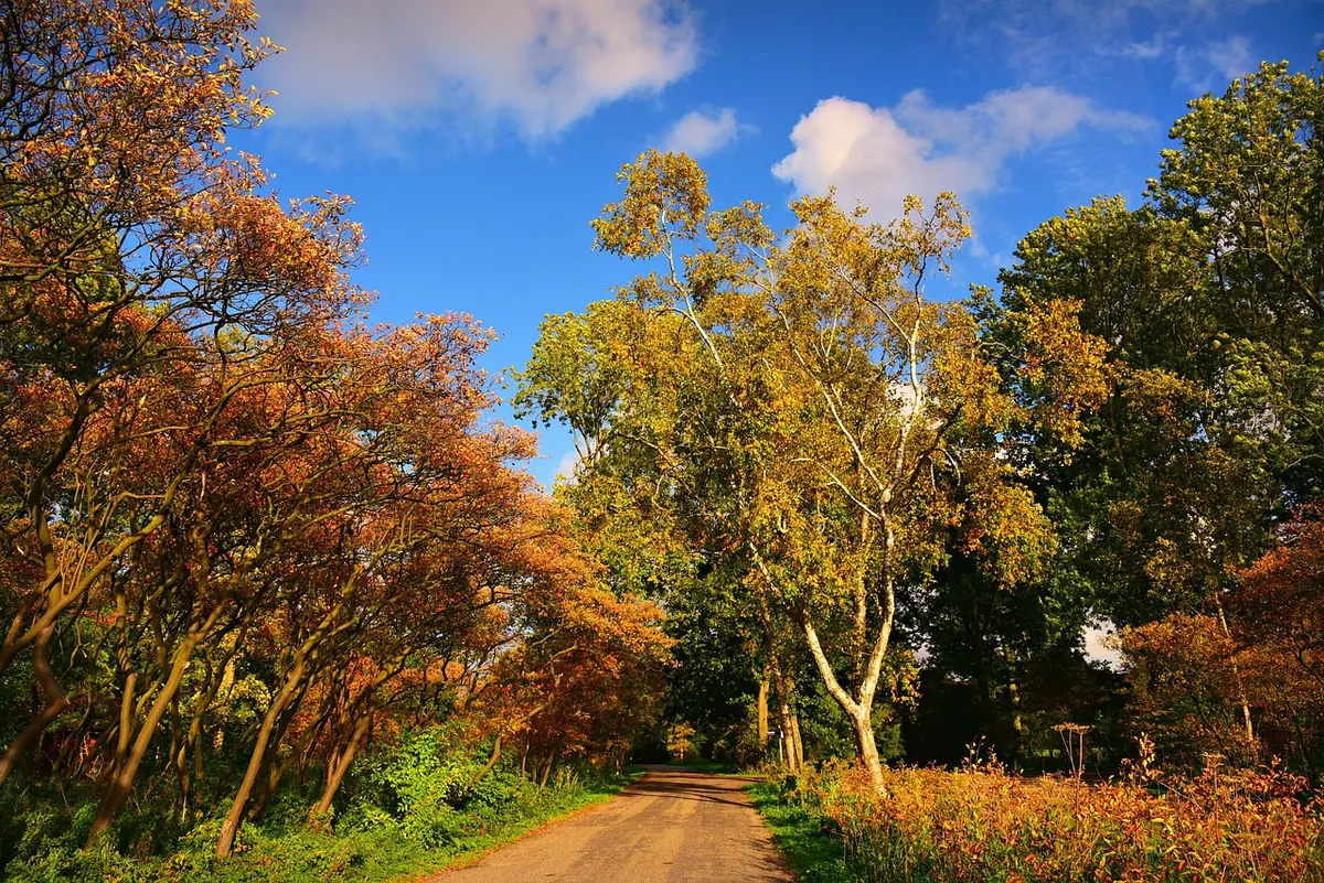 What Causes an Indian Summer in the UK?